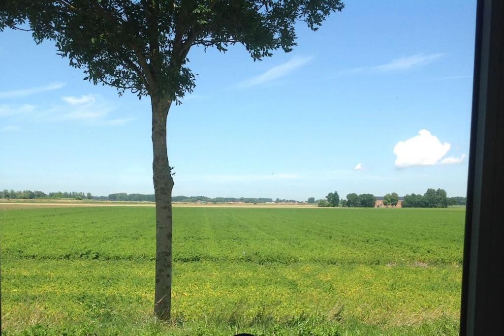 Dijkhuisje Zeeland Waterlandkerkje Exterior photo
